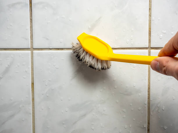 Kingwood, WV Mold Remediation Company